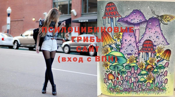 шишки Абдулино