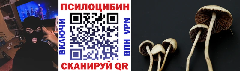 Галлюциногенные грибы GOLDEN TEACHER  что такое наркотик  Горбатов 